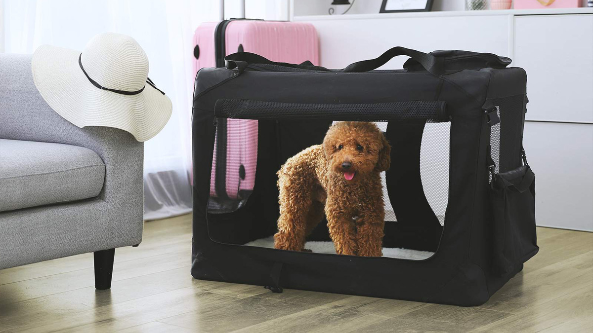 trasportino cani gatti ProduceShop