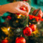 come decorare l'albero di natale