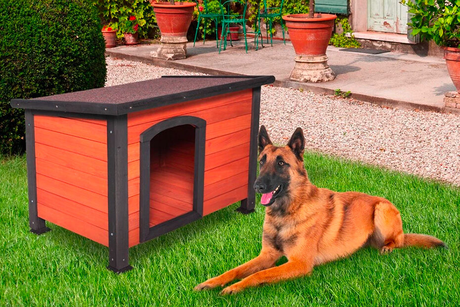 cucce per cani in legno
