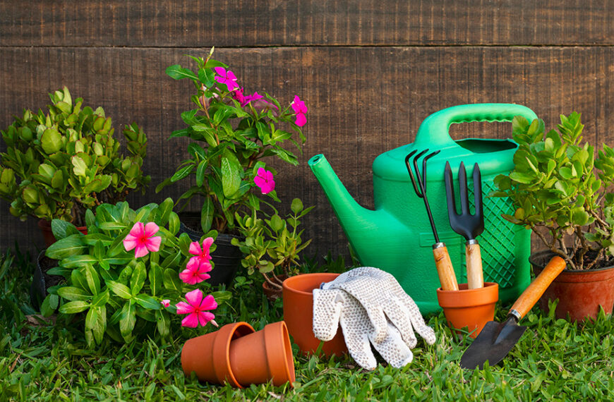 come progettare un giardino